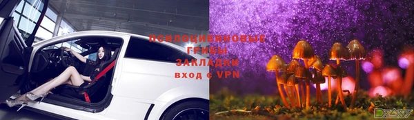 молекула духа Арсеньев