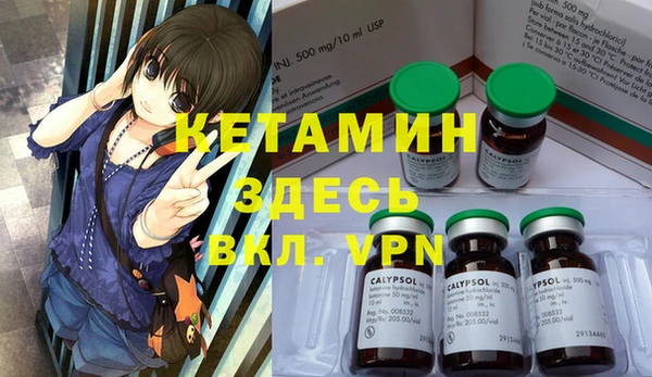 стаф Аркадак