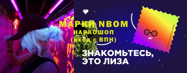 молекула духа Арсеньев