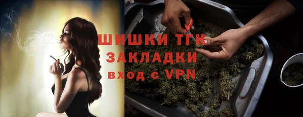 стаф Аркадак