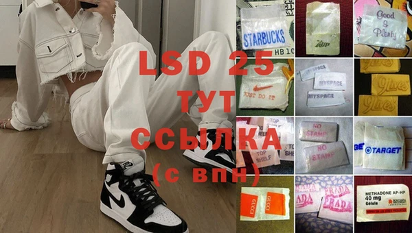 стаф Аркадак