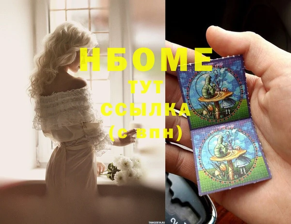 стаф Аркадак