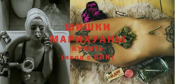 стаф Аркадак