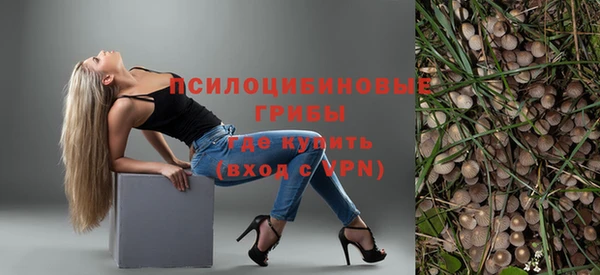 стаф Аркадак