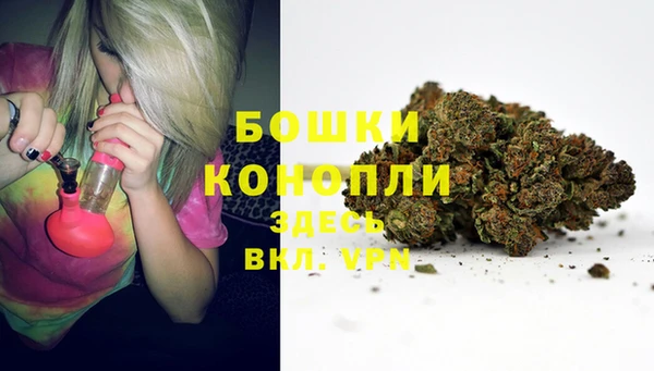 молекула духа Арсеньев
