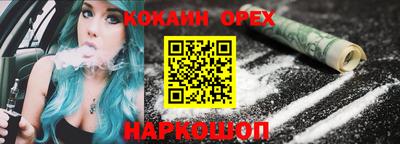 крисы Новозыбков