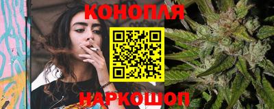 прущие грибы Новокубанск