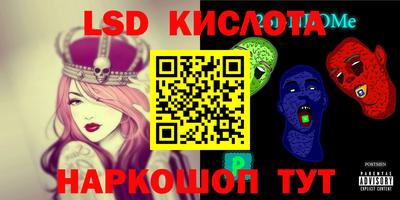 крисы Новозыбков