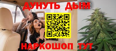 прущие грибы Новокубанск