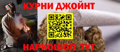крисы Новозыбков