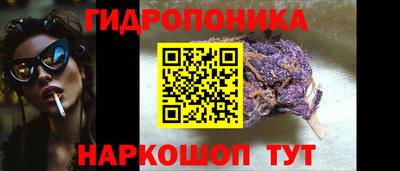 крисы Новозыбков