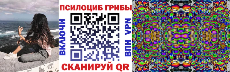 Галлюциногенные грибы мицелий  OMG зеркало  Светлоград 