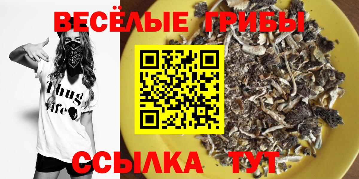 дарнет шоп  Псилоцибиновые грибы MAGIC MUSHROOMS  Вход с VPN  Псилоцибиновые грибы мицелий  Светлоград 